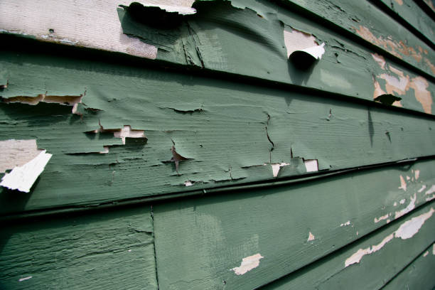 Best Dumpster Rental Services  in Farngton Hills, MI